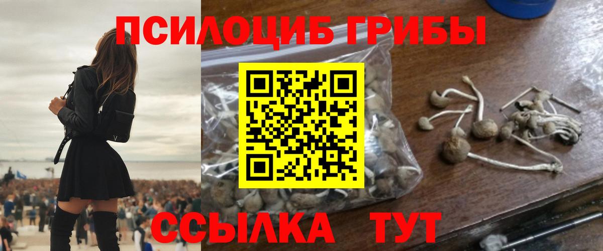 закладка  Галлюциногенные грибы прущие грибы  Галлюциногенные грибы Psilocybe  Вход с VPN  Тамбов 